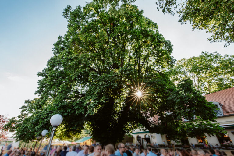 Der erste DDIM.lokal Event in Berlin: Netzwerken im Fokus am 11. September