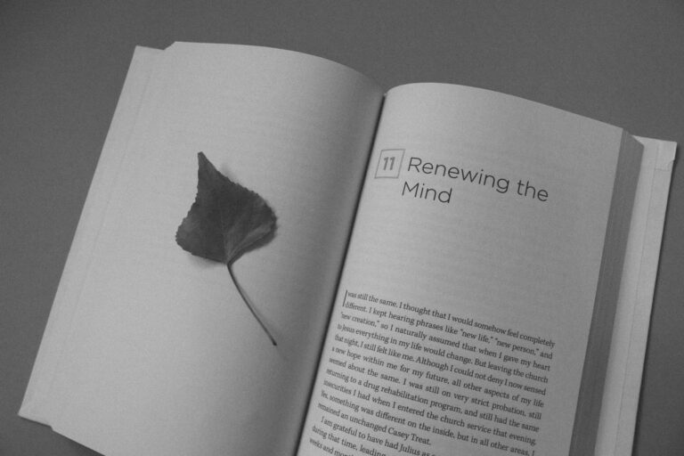 Strategisches Umdenken - Buch - Renewing the Mind